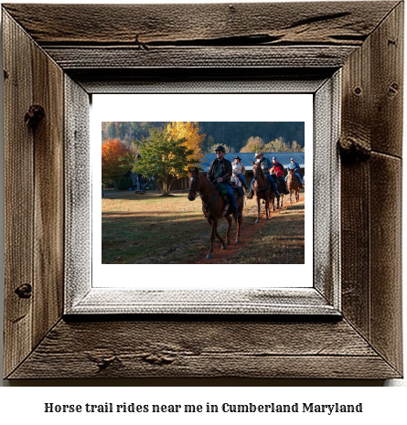 horse trail rides near me in Cumberland, Maryland